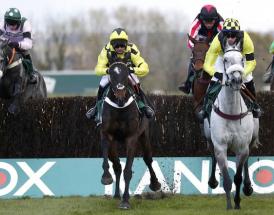 Tingle Creek tips