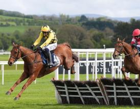 Horse Betting Tips