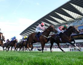 2024 Royal Ascot Results