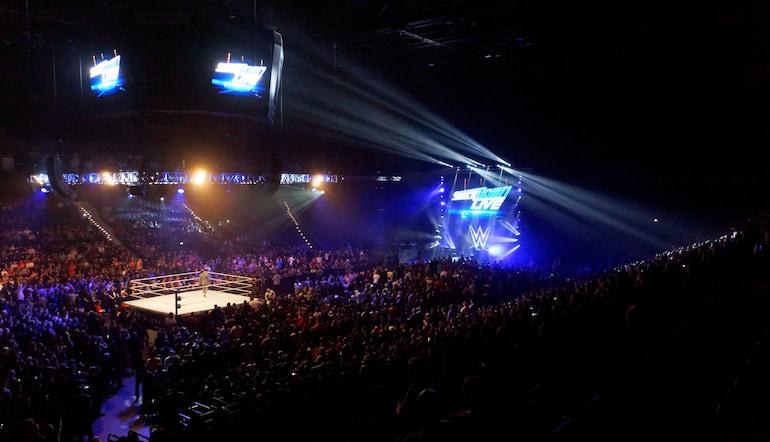 WWE wrestling 2025