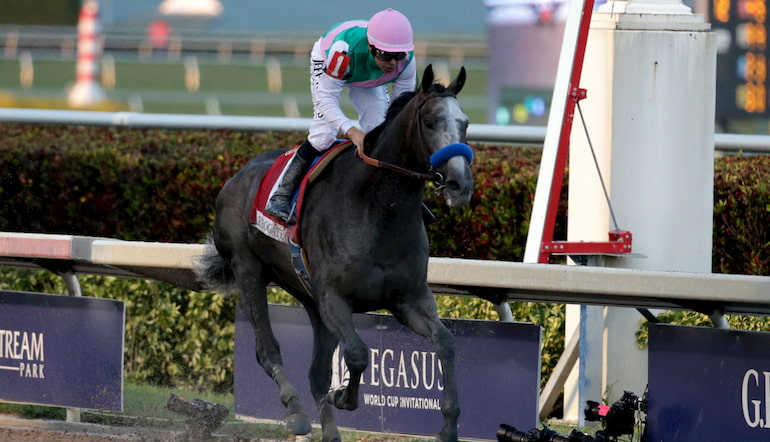 Betting tips on Gulfstream Park