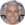 Joe Arlauckas