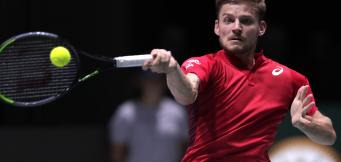 David Goffin