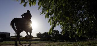 Horse racing on New Year's Day at Cheltenham