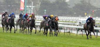 Horse Racing Gamble Landed