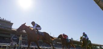 King George VI Chase Boxing Day