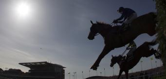 2020 Peter Marsh Chase Tips