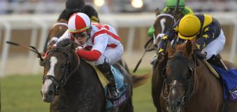 Towton Chase Wetherby Horse Racing