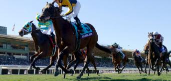 Cheltenham Festival 2020 Champion Hurdle Preview