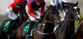 Midlands Grand National Tips