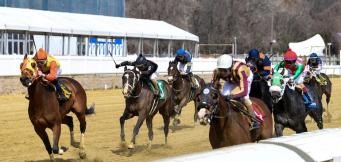 Naas Horse Racing 23rd March