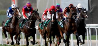 Supreme Novices' Hurdle 2020