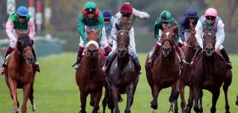 Horse Racing Betting Free Tips