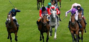 Betting Tips Epsom Derby
