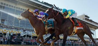 Best Horse Racing Bets