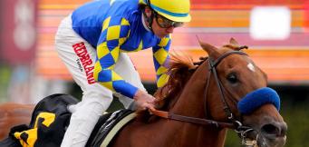 Horse Racing Tips Ebor York