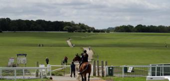 Classics Flat Racing