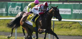 Best trends Ebor Handicap York