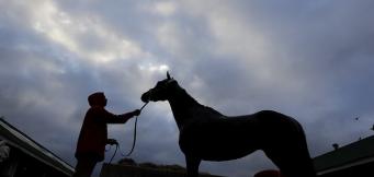 Sprint Cup Haydock tips