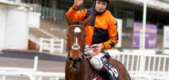 Horse racing fixtures 2022