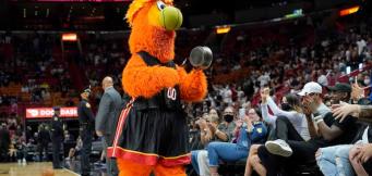 NBA Hawks 