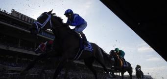 Trends International Hurdle Cheltenham