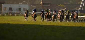 Statistics Clarence House Chase