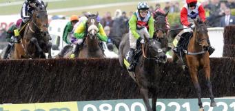 Newbury Denman Chase statistics