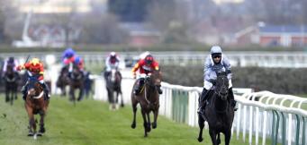 Golden Cygnet Novice Hurdle trends