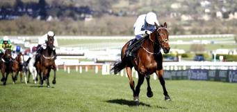 Irish Champion Hurdle statistics