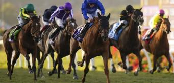 What is draw bias in racing