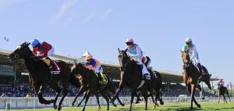 Bet on the 2022 QIPCO 1000 Guineas Newmarket