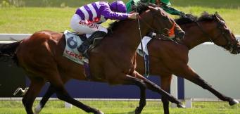 Horse Racing Tips Wednesday 15th June