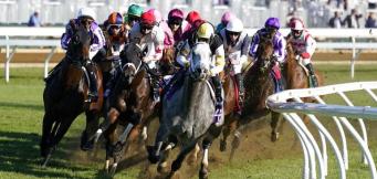 Horse Racing Tips Sunday 5th June