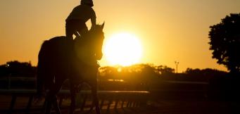 Point to Point graduates jumps season