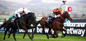 Cheltenham Festival 2023 entries