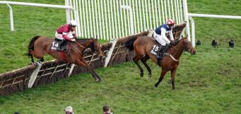 Albert Bartlett Novices Hurdle Tips