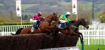 Brown Advisory Novices Chase Trends