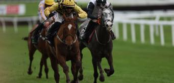 Cheltenham Festival Champion Hurdle Trends