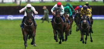 Arkle Trends and Stats