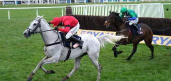 Turners Novices Chase Trends