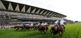Tips Royal Ascot 2024