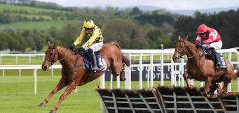 Horse Betting Tips