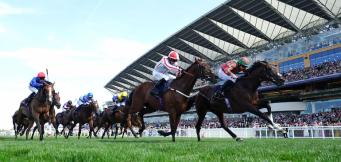 2024 Royal Ascot Results