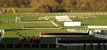 Horses to follow in the 2024/25 jumps season.
