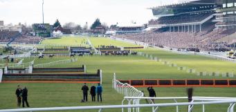 Antepost Tips for 2026 Cheltenham Festival