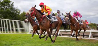 Jumps racing