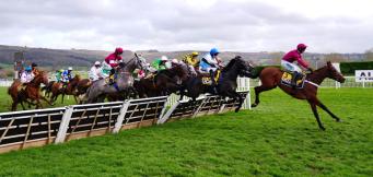 Rule 4 horse racing