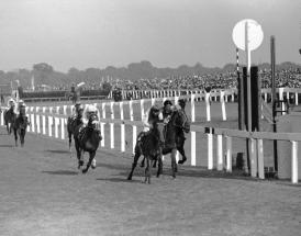 Doncaster St Leger