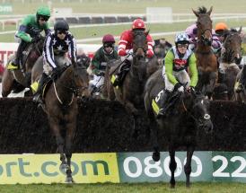 Horse Racing